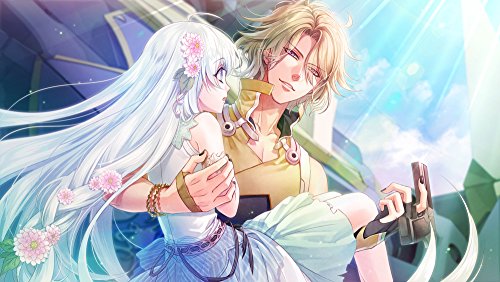 Eternal Teer Blade Lost Chronicle Limited Edition PS Vita Software VLJM-35367_5