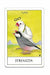 Nichiyu Bird Tarot Card T0556 Toy Rider (Weight Smith) version from JAPAN NEW_5
