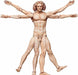 figma SP-075 The Table Museum Vitruvian Man Action Figure FREEing NEW from Japan_1