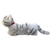 SUN LEMON Lap top Cat Hiza Neko Plush Toy Gray Size M (H18xW16xD47cm) NEW_7