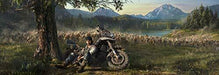 Days Gone PS4 NEW from Japan_2