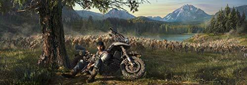 Days Gone PS4 NEW from Japan_2