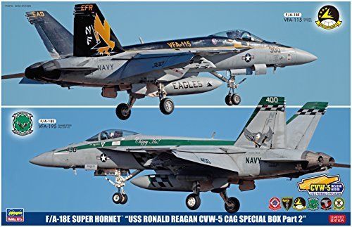 Hasegawa 1/72 F/A-18E/F Super Hornet USS Ronald Reagan CVW-5 CAG Special Part2_1