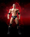 S.H.Figuarts WWE THE ROCK Action Figure BANDAI NEW from Japan F/S_2