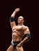 S.H.Figuarts WWE THE ROCK Action Figure BANDAI NEW from Japan F/S_8