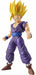 BANDAI Figure-rise Standard SUPER SAIYAN 2 GON GOHAN Model Kit Dragon Ball NEW_2