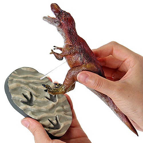 Colorata Discover Feathered Dinosaurs Premium Real figure box NEW from Japan_2