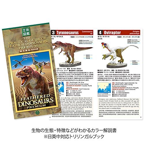 Colorata Discover Feathered Dinosaurs Premium Real figure box NEW from Japan_3