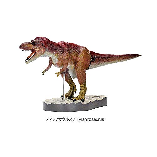 Colorata Discover Feathered Dinosaurs Premium Real figure box NEW from Japan_4