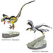 Colorata Discover Feathered Dinosaurs Premium Real figure box NEW from Japan_5