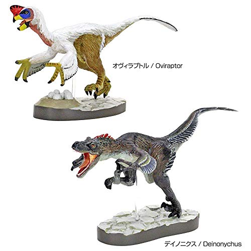Colorata Discover Feathered Dinosaurs Premium Real figure box NEW from Japan_6