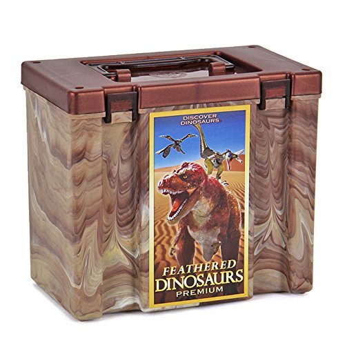 Colorata Discover Feathered Dinosaurs Premium Real figure box NEW from Japan_8