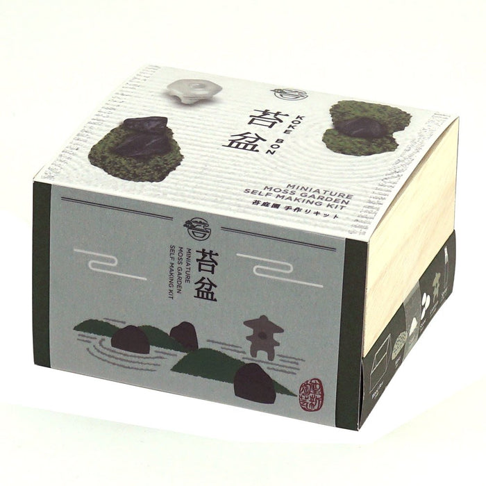 Seishin Togei Miniature Moss Garden Self Making Kit Japan Zen Garden ‎GD-719 NEW_1