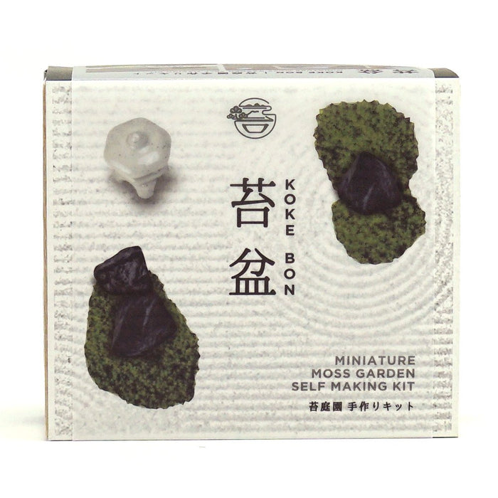 Seishin Togei Miniature Moss Garden Self Making Kit Japan Zen Garden ‎GD-719 NEW_2