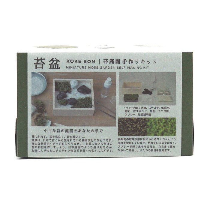 Seishin Togei Miniature Moss Garden Self Making Kit Japan Zen Garden ‎GD-719 NEW_3