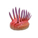 Prehistoric Life WIWAXIA Mini Model (FP-207) NEW from Japan_1