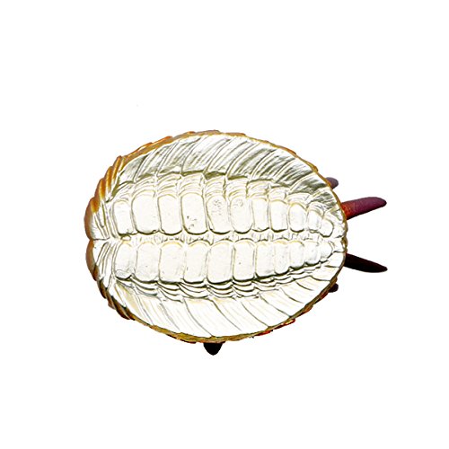 Prehistoric Life WIWAXIA Mini Model (FP-207) NEW from Japan_5