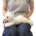 Hizaneko Cat Plush Doll on Lap Real-Feeling Size S 15cm White Cat ‎P-1982 NEW_7