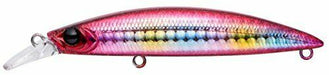 APIA Dover 82 S Sinking Lure 10 NEW from Japan_1