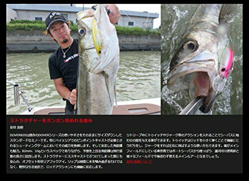 APIA Dover 82 S Sinking Lure 10 NEW from Japan_3