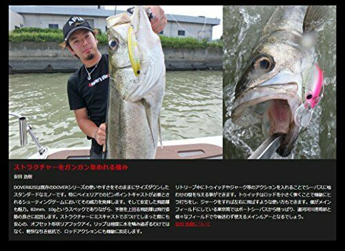 APIA Dover 82S Sinking Lure 12 NEW from Japan_3