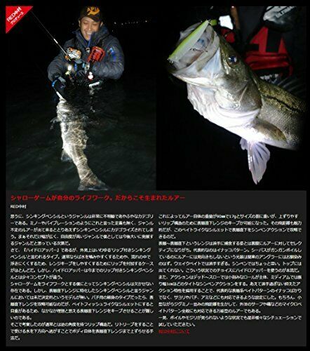 APIA Hydroupper 90S Sinking Lure 06 NEW from Japan_3