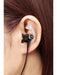 JVC HA-FW03 WOOD 03 inner Hi-Res Audio In-Ear Headphones NEW from Japan_4