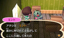 Nintendo 3DS Animal Crossing Tobidase Doubutsu no Mori amiibo+ CTR-W-EAAJ NEW_5