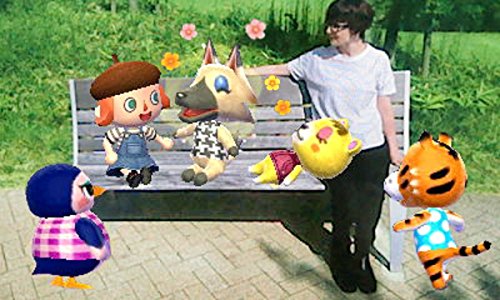 Nintendo 3DS Animal Crossing Tobidase Doubutsu no Mori amiibo+ CTR-W-EAAJ NEW_6