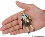 Metal Figure Collection MetaColle Star Wars SCARIF STORMTROOPER TAKARA TOMY NEW_5