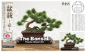 PLATZ 1/12 Scale The BONSAI Ichi Matsu Pine Plastic Model Kit BON-01 JUL168769_1