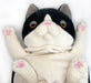 Shinada Global Mochi Neko Plush Black (L) MONE-0350B 22x22x30cm Soft Cat NEW_2