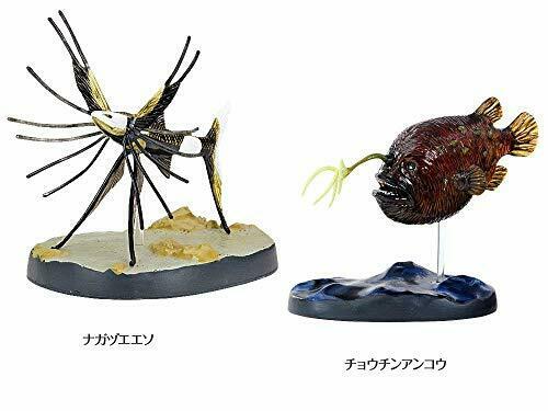 corolata 3D figure book Real figure box Deep sea NEW from Japan_4