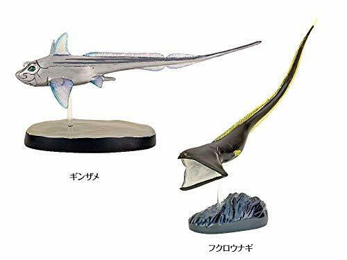 corolata 3D figure book Real figure box Deep sea NEW from Japan_5