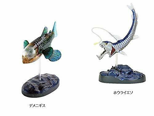 corolata 3D figure book Real figure box Deep sea NEW from Japan_6