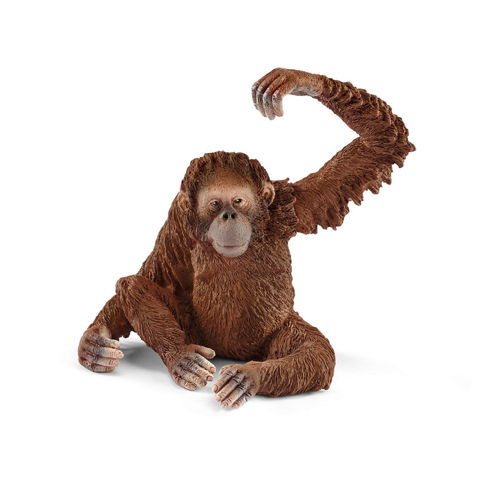 SCHLEICH Wildlife Female Orangutan Figure 14775 realistic animal figure NEW_5