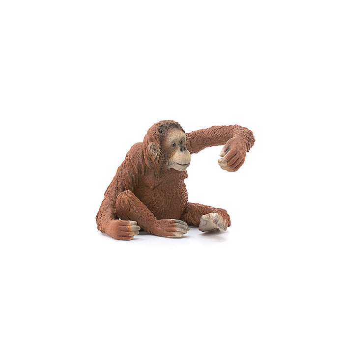 SCHLEICH Wildlife Female Orangutan Figure 14775 realistic animal figure NEW_6
