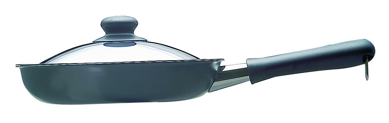 SORI YANAGI Magma plate iron frying pan 25cm IH OK with Lid Made in Japan NEW_1