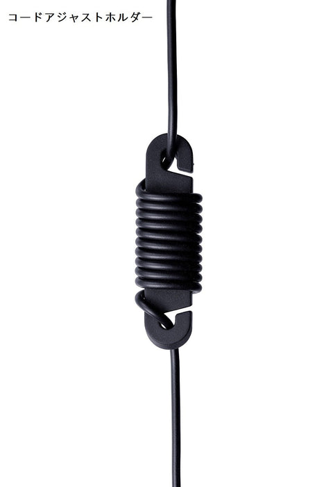 Panasonic RP-HDE5-S Hi-Res Audio Canal Type Earphone Silver Standard Edition NEW_2