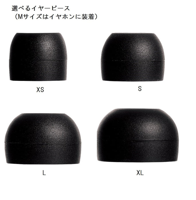 Panasonic RP-HDE5-S Hi-Res Audio Canal Type Earphone Silver Standard Edition NEW_3