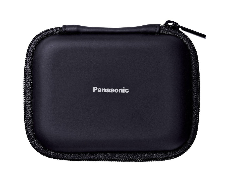 Panasonic RP-HDE5-S Hi-Res Audio Canal Type Earphone Silver Standard Edition NEW_4