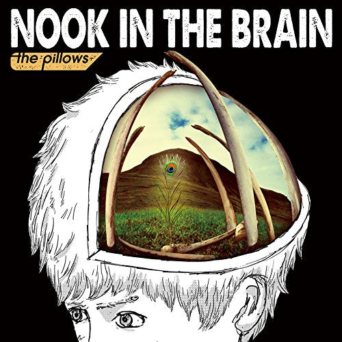 the pillows NOOK IN THE BRAIN First Limited Edition CD DVD QECD-90003 NEW_1