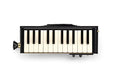 HAMMOND BB PRO-24B Bass Melodica Acoustic-electric NEW from Japan_1