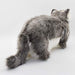 Life Size Standing Pallas's cat Stuffed Animals BH7077 HANSA (44 x 18 x 30 cm)_3