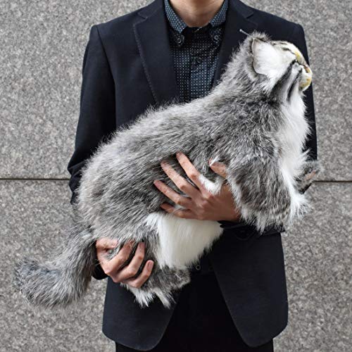 Life Size Standing Pallas's cat Stuffed Animals BH7077 HANSA (44 x