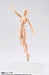 S.H.Figuarts BODY CHAN (Female) DX SET Pale Orange Color Ver Figure BANDAI NEW_3