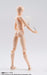 S.H.Figuarts BODY CHAN (Female) DX SET Pale Orange Color Ver Figure BANDAI NEW_7
