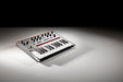KORG synthesizer MONOLOGUE-SV monophonic analog monologue silver NEW from Japan_7