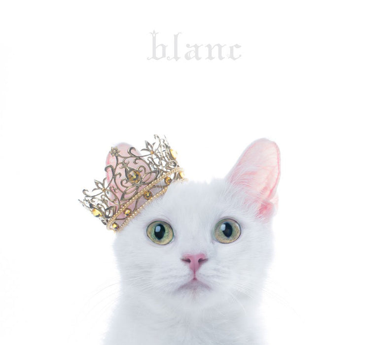 [CD+DVD] BEST SELECTION blanc First Limited Edition Type B Aimer SECL-2141 NEW_1