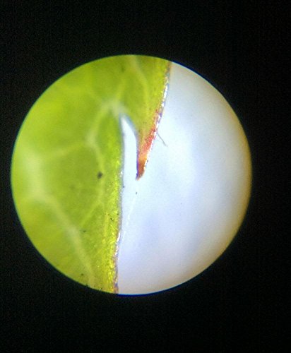 Vixen pocket microscope 120 zoom (chocolate mint) 21264-4 LED type NEW_10